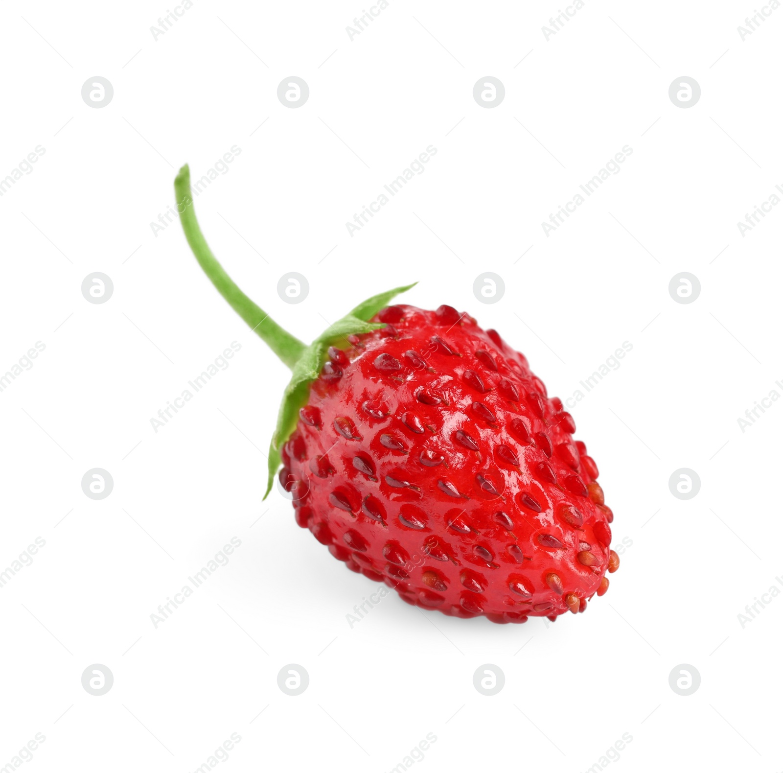 Photo of One ripe wild strawberry isolated on white