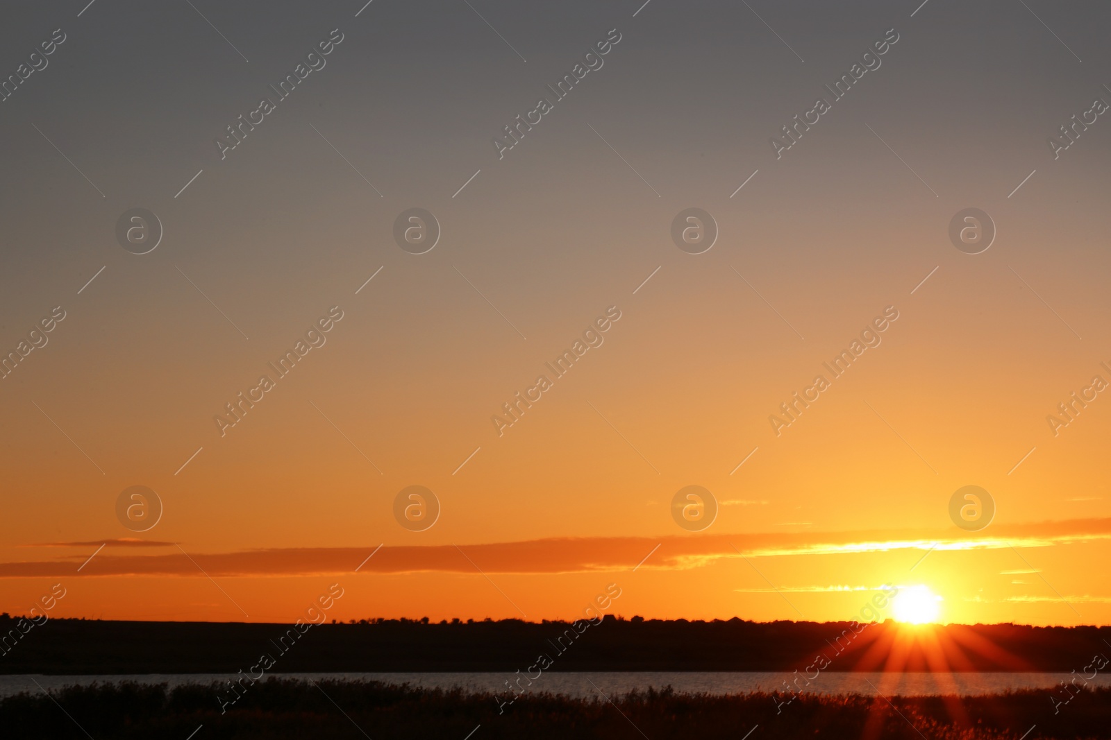 Photo of Picturesque view of beautiful sunrise on riverside. Morning sky