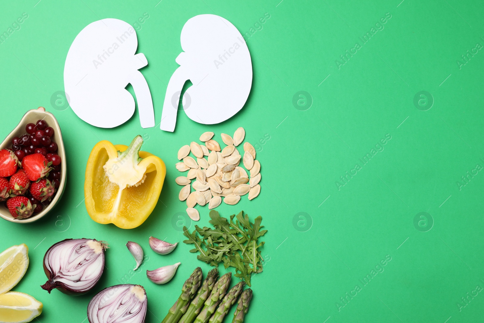 Photo of Paper cutout of kidneys and different healthy products on green background, flat lay. Space for text