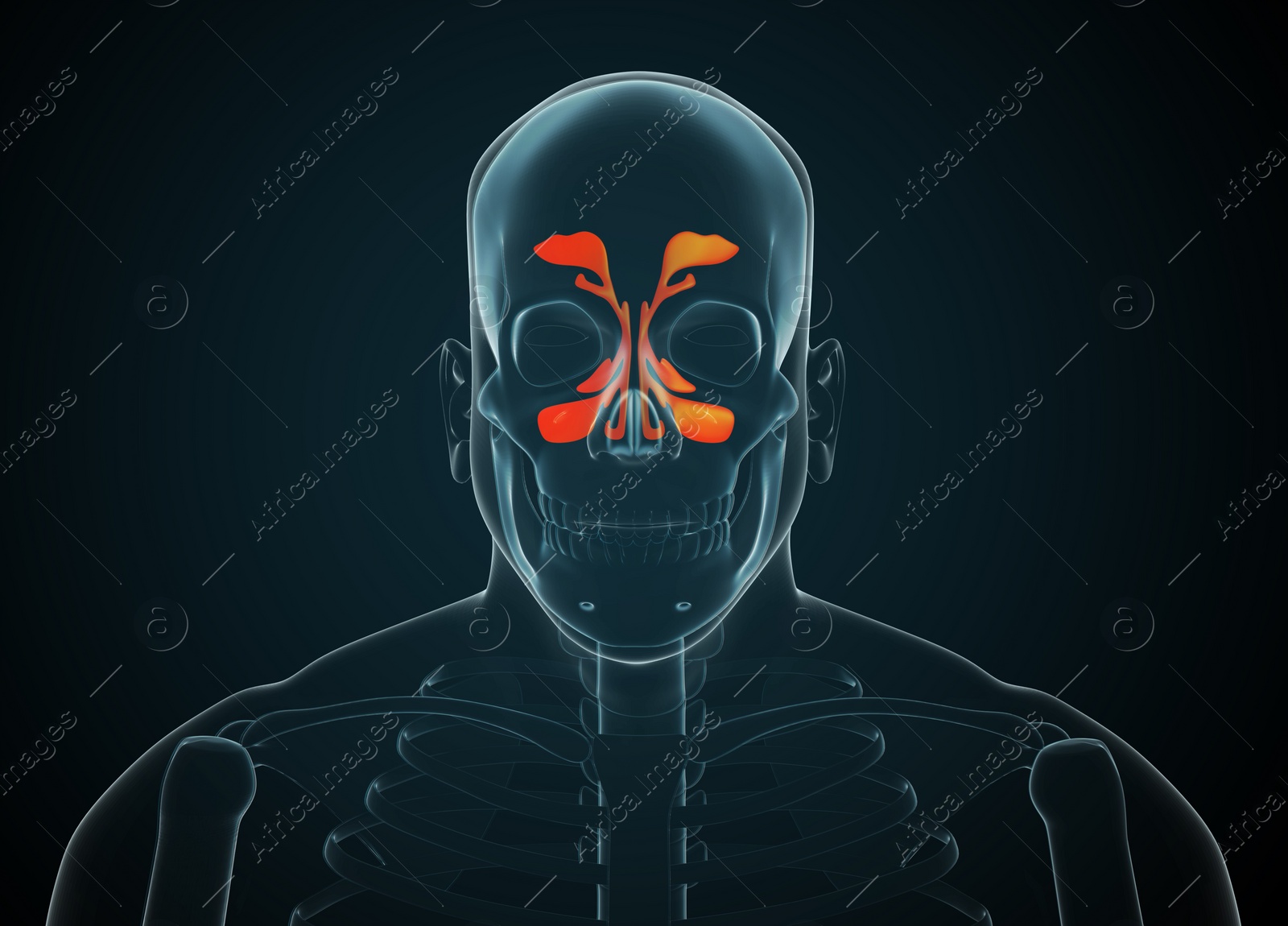 Illustration of X-ray picture of man showing nasal cavities on dark background, illustration