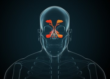 Illustration of X-ray picture of man showing nasal cavities on dark background, illustration