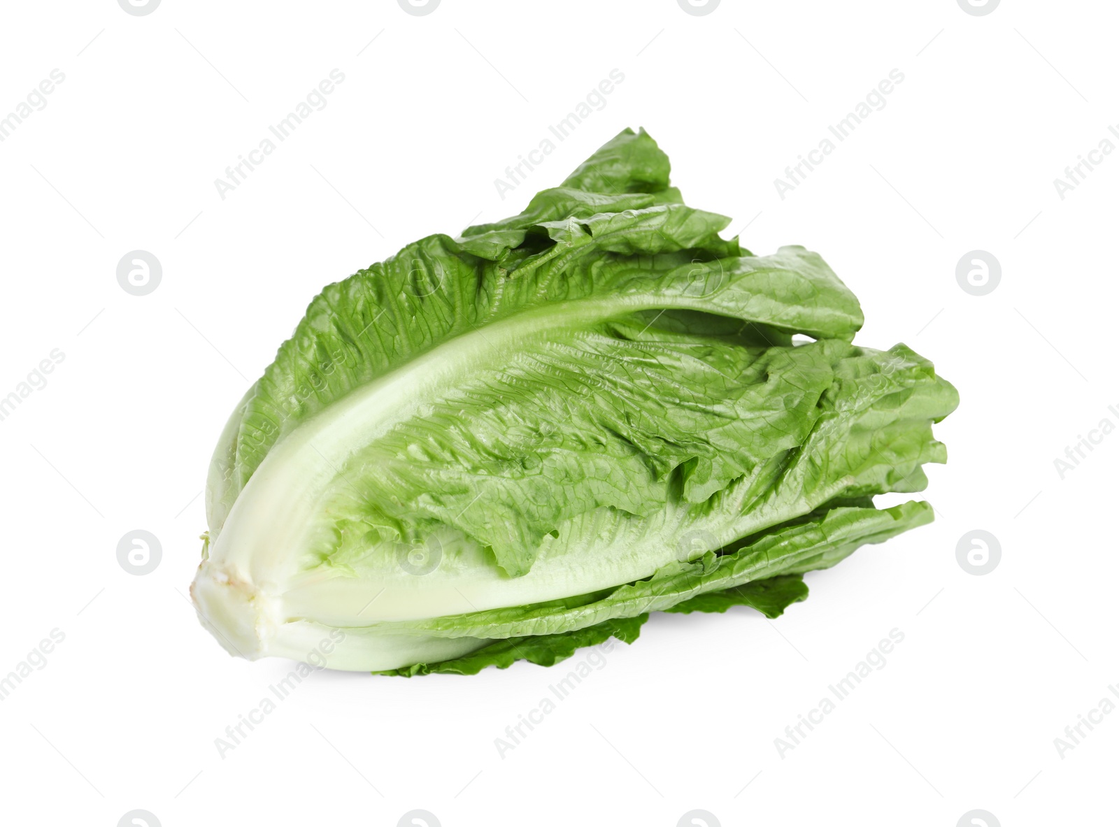 Photo of Fresh green romaine lettuce isolated on white