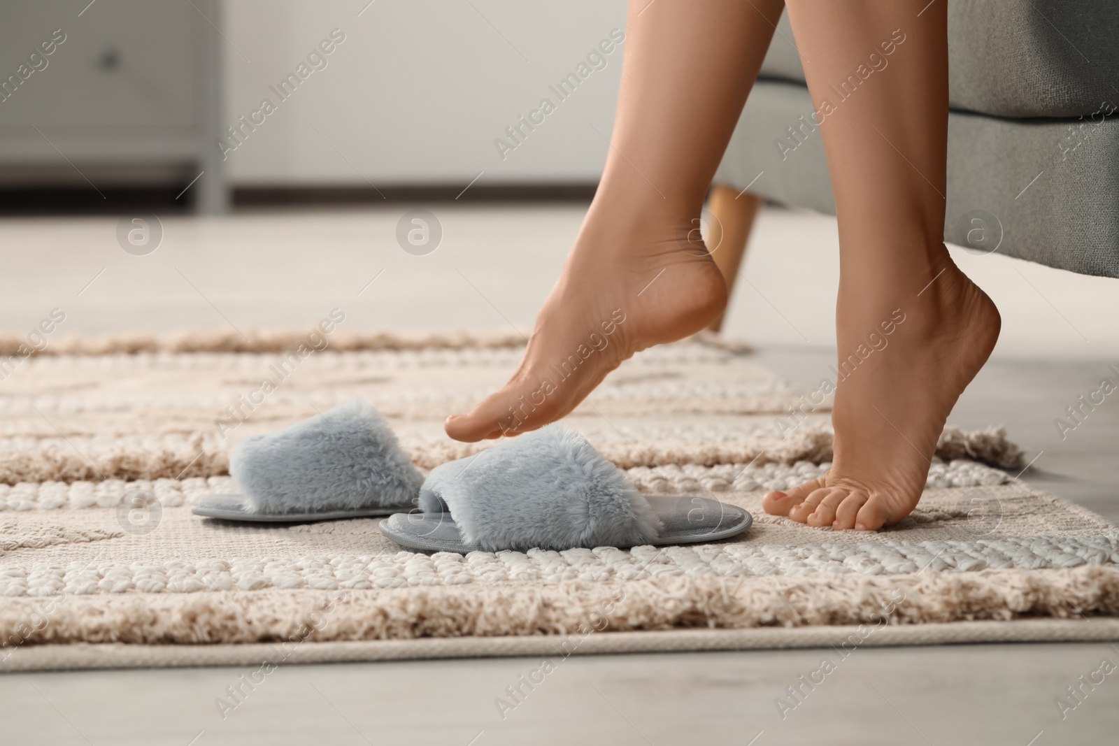 Photo of Woman putting on soft slippers at home, closeup