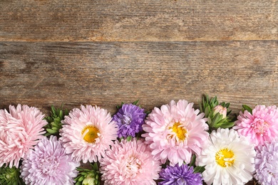 Photo of Beautiful aster flowers and space for text on wooden background, flat lay