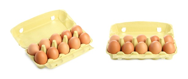 Image of Brown chicken eggs in egg carton isolated on white, set