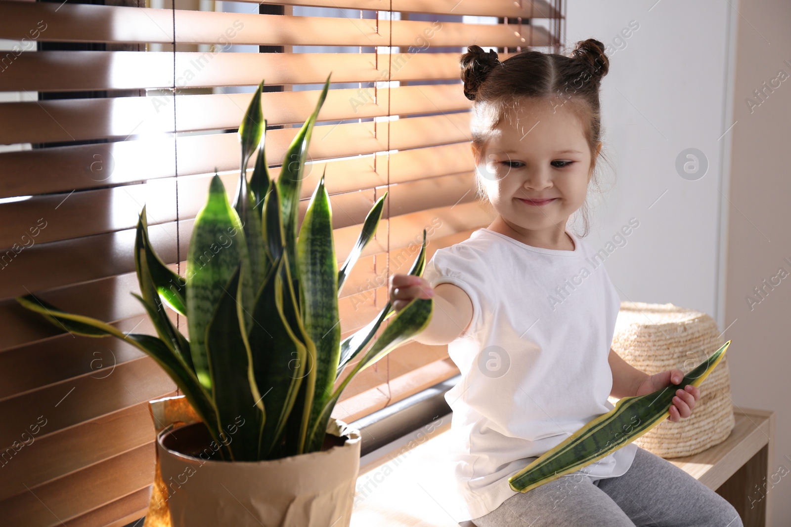 Photo of Curious little girl breaking houseplant at home