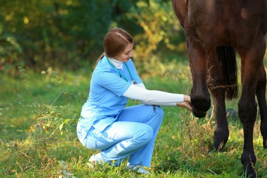 Photo of Veterinarian in uniform examining beautiful brown horse outdoors. Space for text
