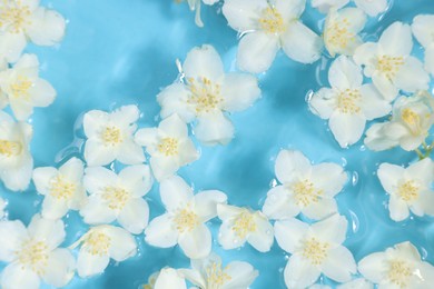 Photo of Beautiful jasmine flowers in water on light blue background, top view