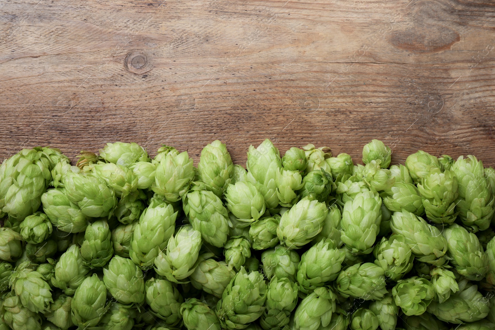 Photo of Fresh green hops on wooden table, top view. Space for text