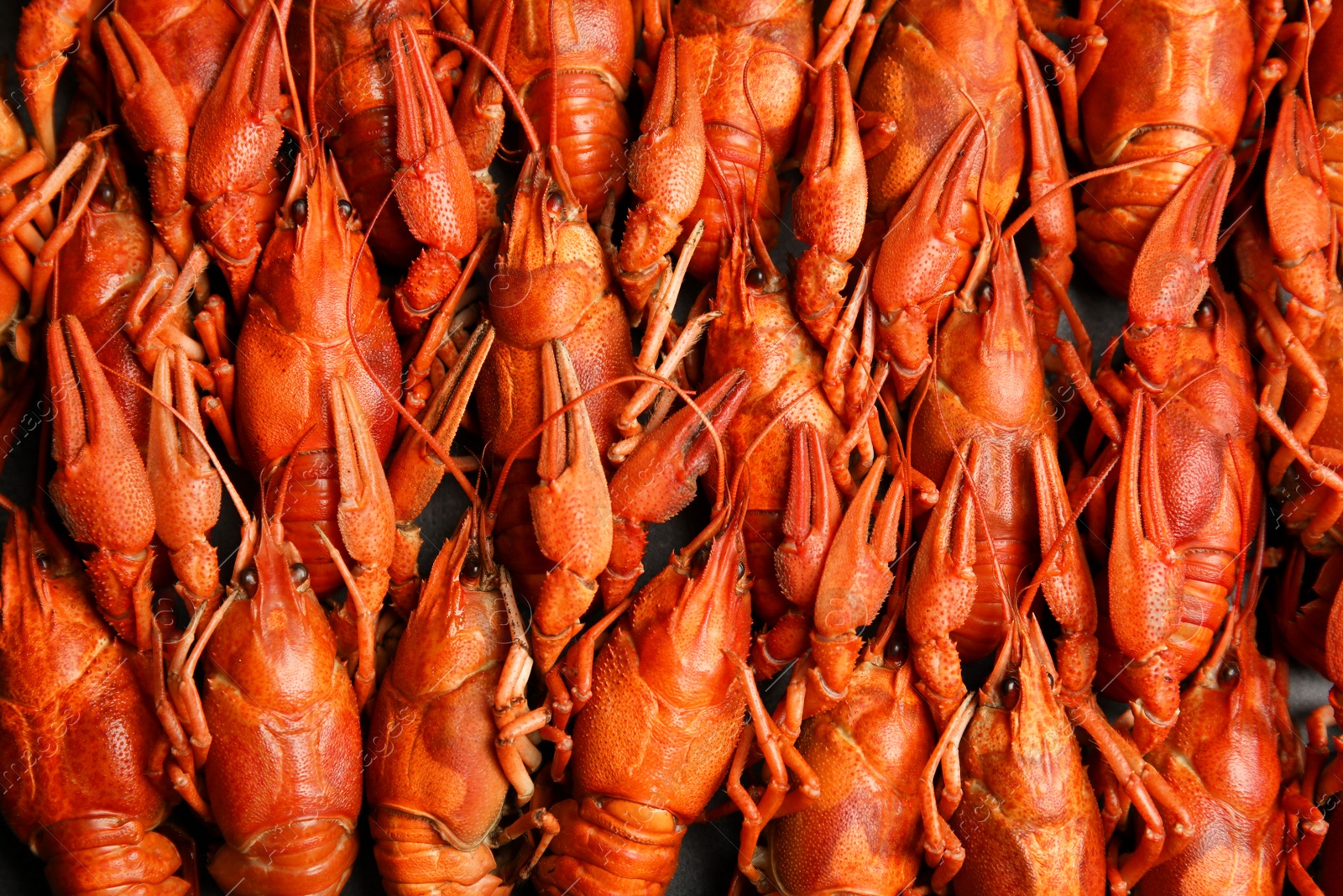 Photo of Delicious boiled crayfishes as background, top view