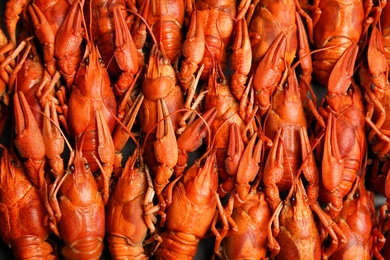 Photo of Delicious boiled crayfishes as background, top view