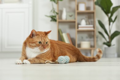 Photo of Cute ginger cat playing sisal toy at home