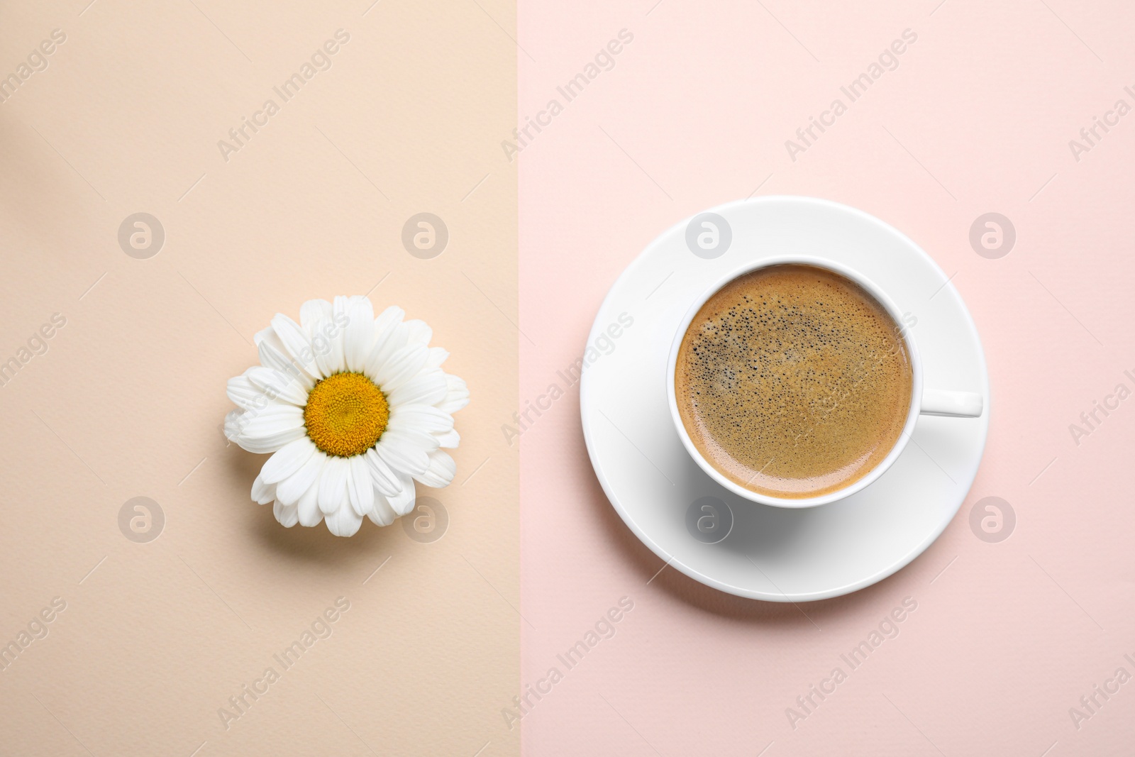 Photo of Chamomile flower and cup of aromatic coffee on color background, flat lay