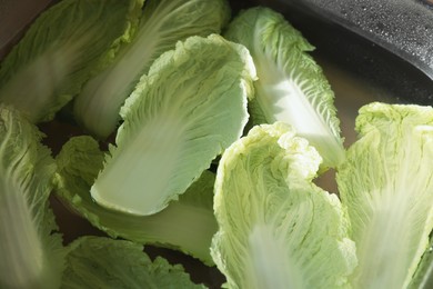 Photo of Chinese cabbage leaves in water inside sink, above view