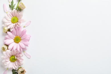 Photo of Beautiful chamomile flowers on white background, flat lay with space for text