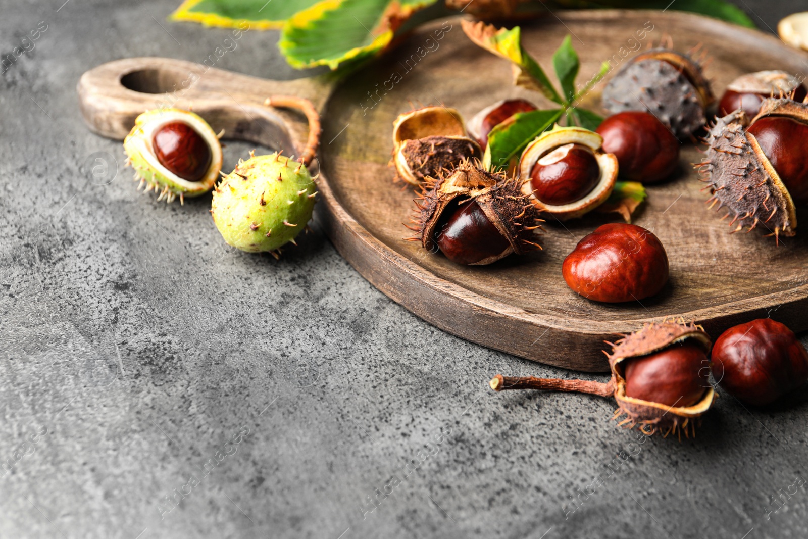 Photo of Horse chestnuts on grey table, closeup view