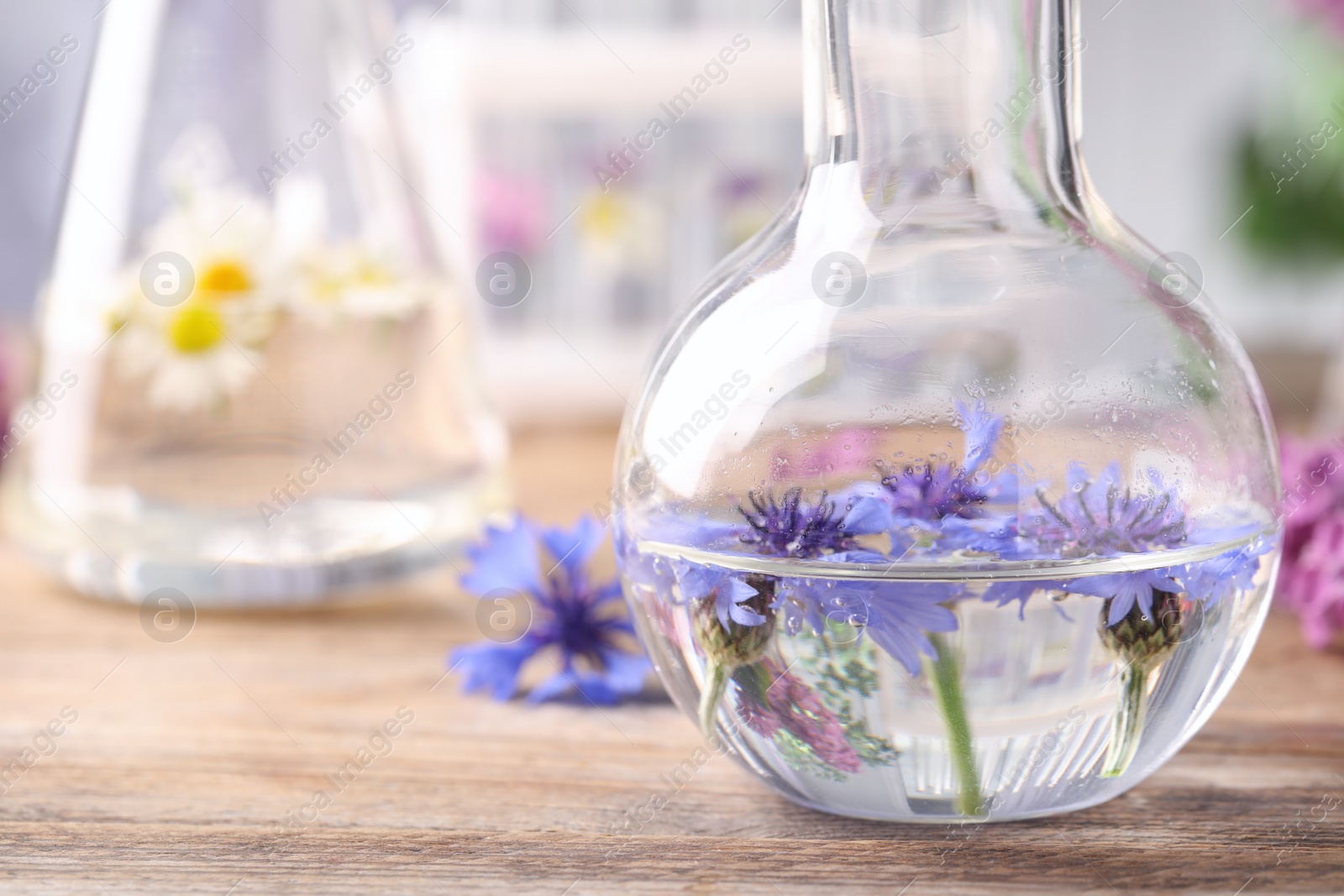 Photo of Flask with cornflowers on wooden table, closeup. Essential oil extraction