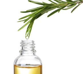 Photo of Rosemary branch with drop of essential oil over bottle against white background