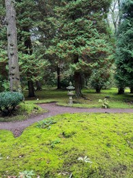 Photo of Stone lantern, bright moss and other plants near pathway in Japanese garden