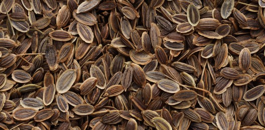 Image of Many dill seeds as background, top view. Banner design