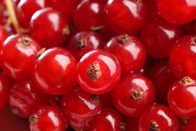 Photo of Many tasty fresh red currants as background, closeup