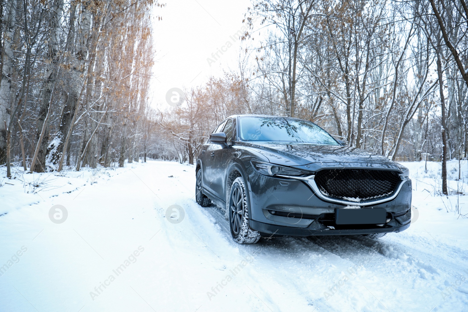 Photo of Snowy country road with car on winter day. Space for text