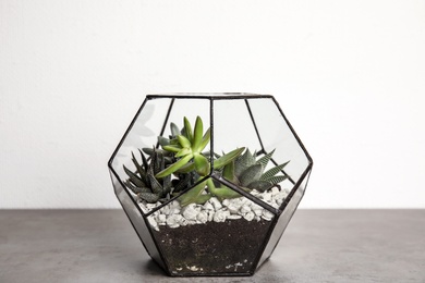 Glass florarium with different succulents on table against white background