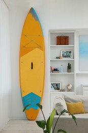 Photo of SUP board, shelving unit with different decor elements and sofa in room. Interior design