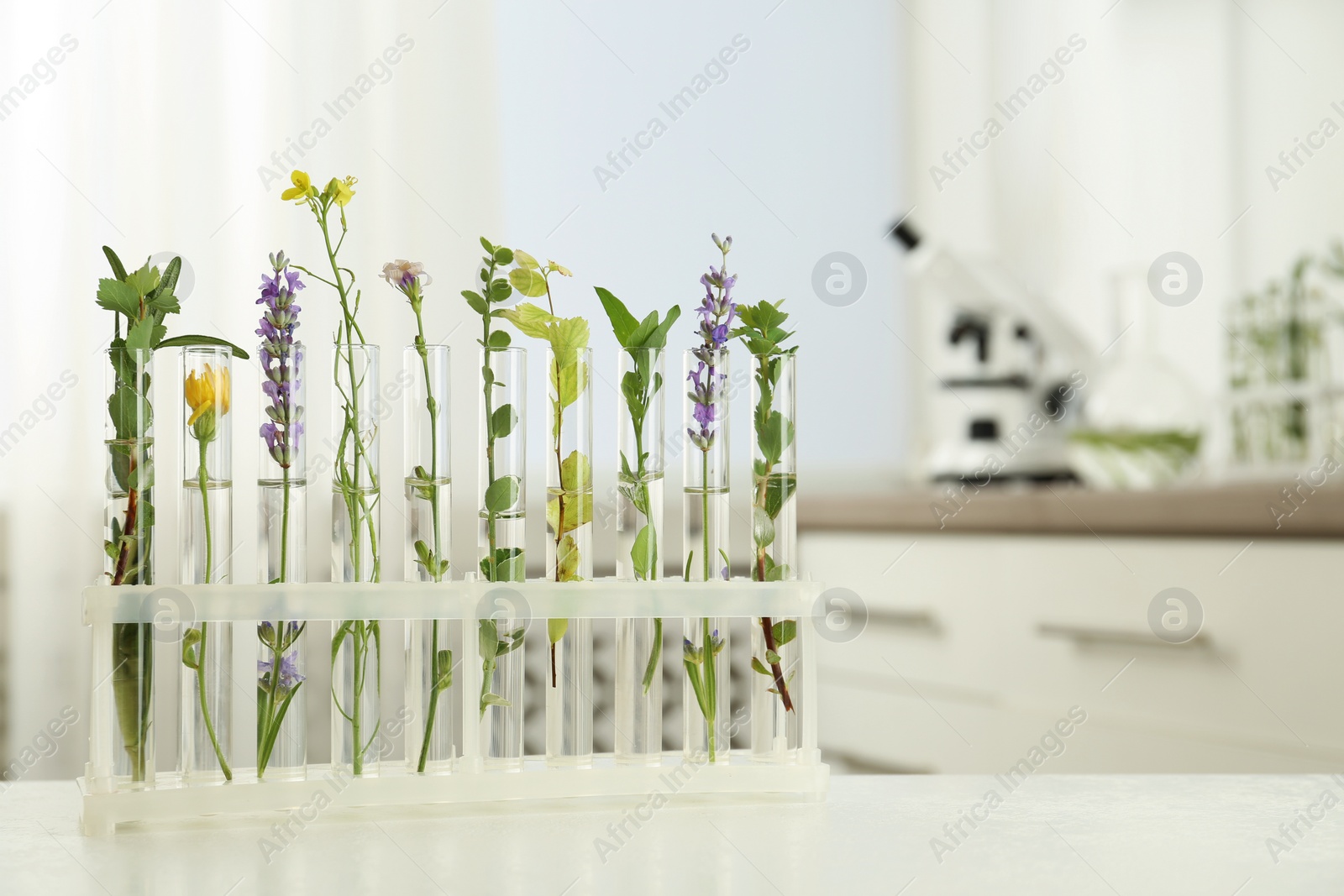 Photo of Test tubes with different plants on table in laboratory