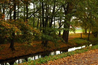 Beautiful park with yellowed trees and small river