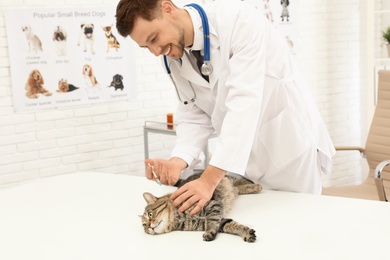 Photo of Professional veterinarian vaccinating cute cat in clinic