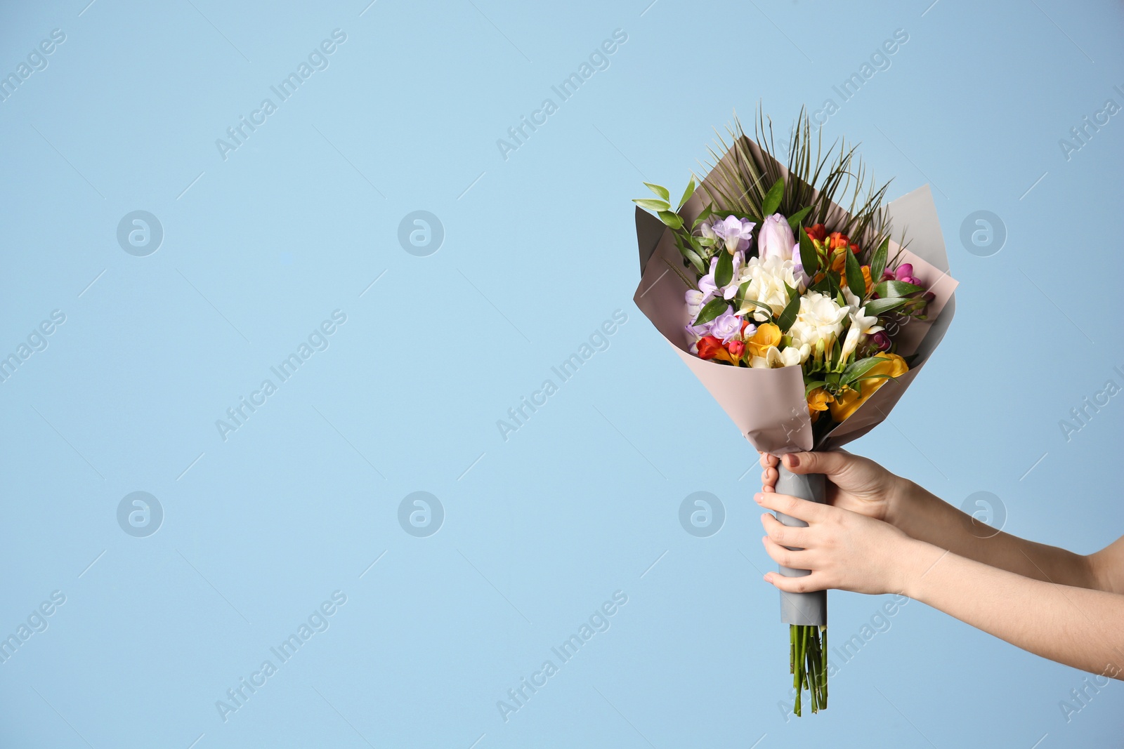 Woman with beautiful bouquet of freesia flowers on light background Photo of Woman with beautiful bouquet of freesia flowers on light background