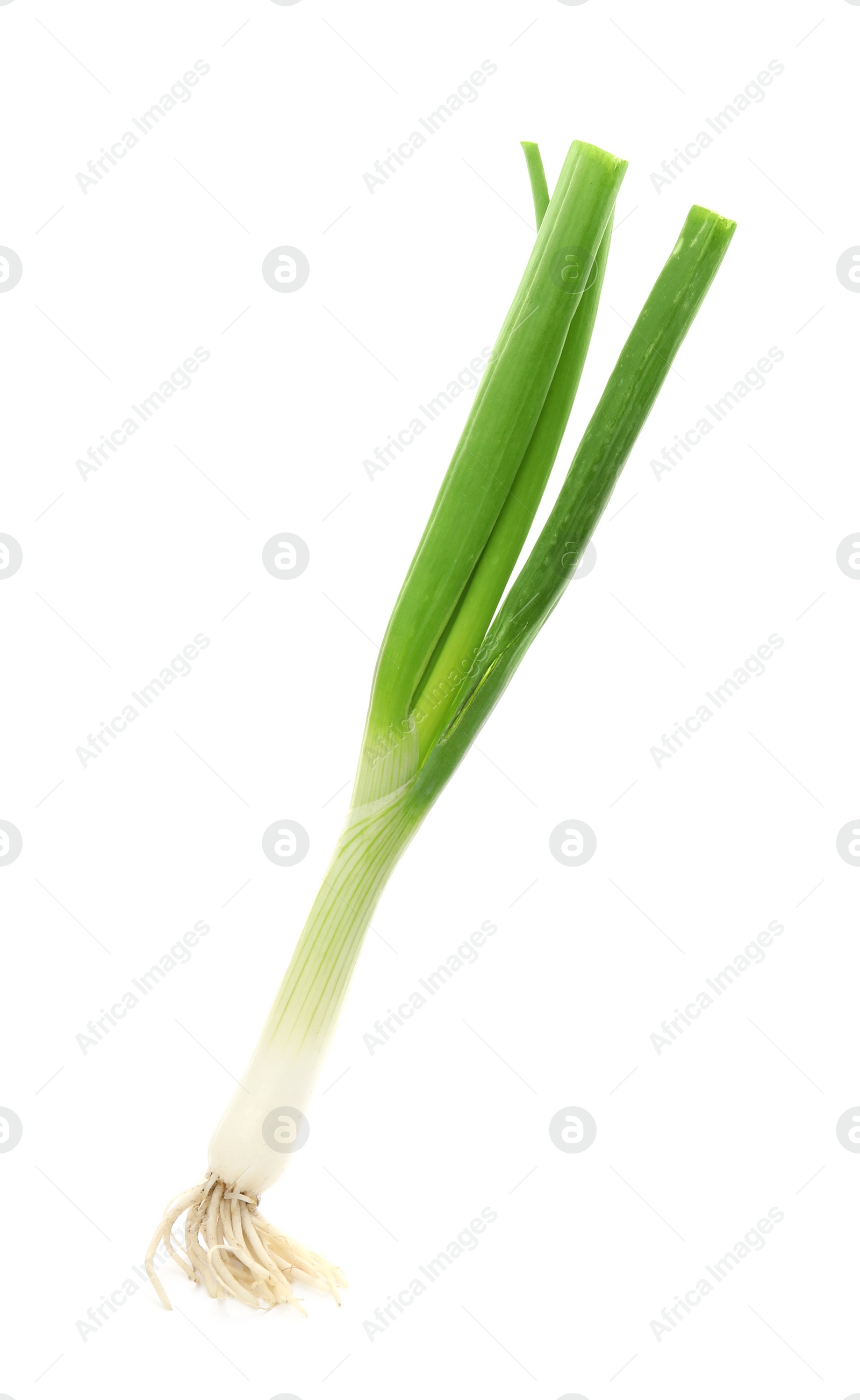 Photo of Fresh green onion on white background