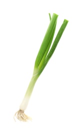 Fresh green onion on white background