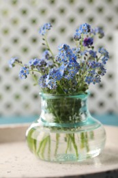 Photo of Beautiful Forget-me-not flowers in vase on tray