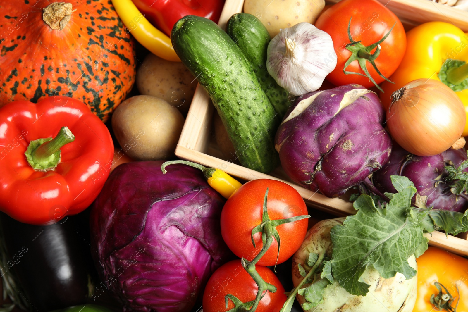 Photo of Many fresh ripe vegetables as background. Organic food