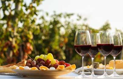 Red wine and snacks served for picnic on white wooden table outdoors