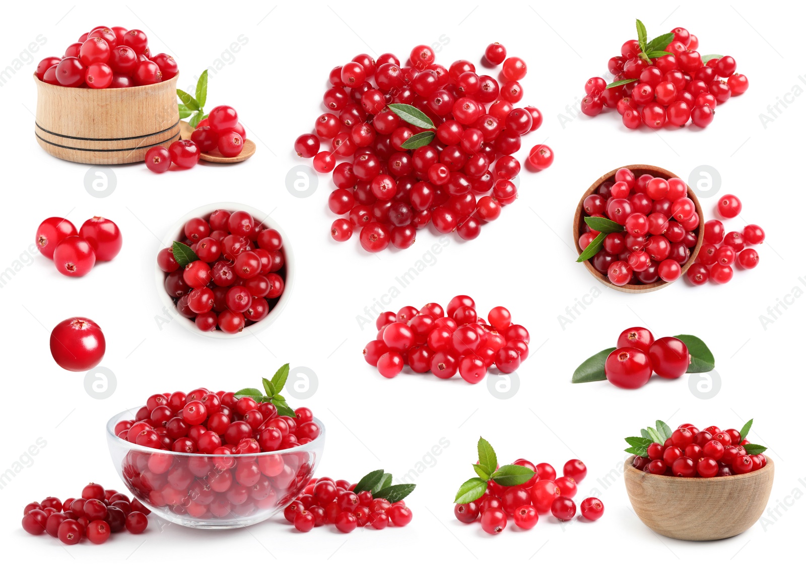 Image of Set of fresh ripe cranberries on white background