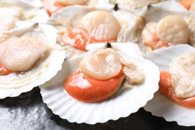Photo of Fresh raw scallops with shells on black textured table, closeup