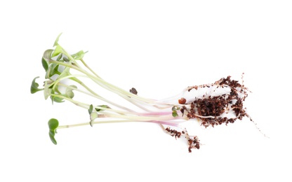 Photo of Fresh organic microgreen seeds on white background, top view