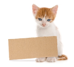 Image of Cute little kitten and blank piece of cardboad on white background. Lonely pet 