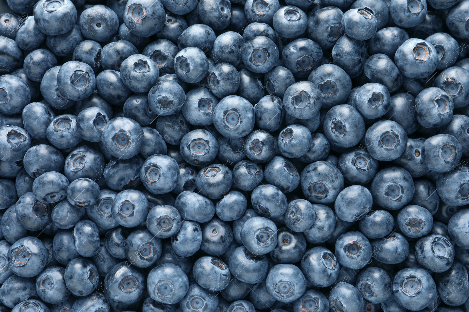 Photo of Tasty fresh blueberries as background, top view