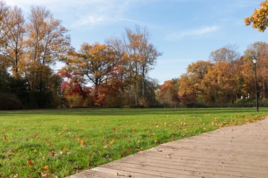 Photo of Picturesque view of park with beautiful trees and pathway on sunny day. Autumn season