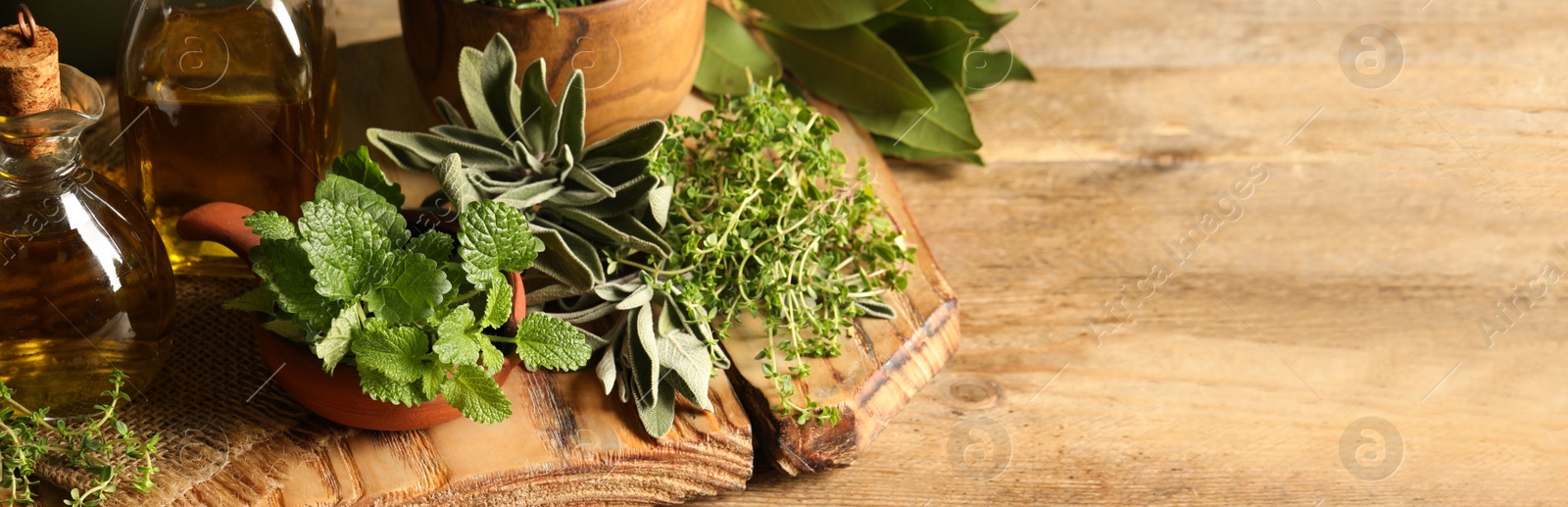 Image of Different fresh herbs with oils on wooden table, space for text. Banner design