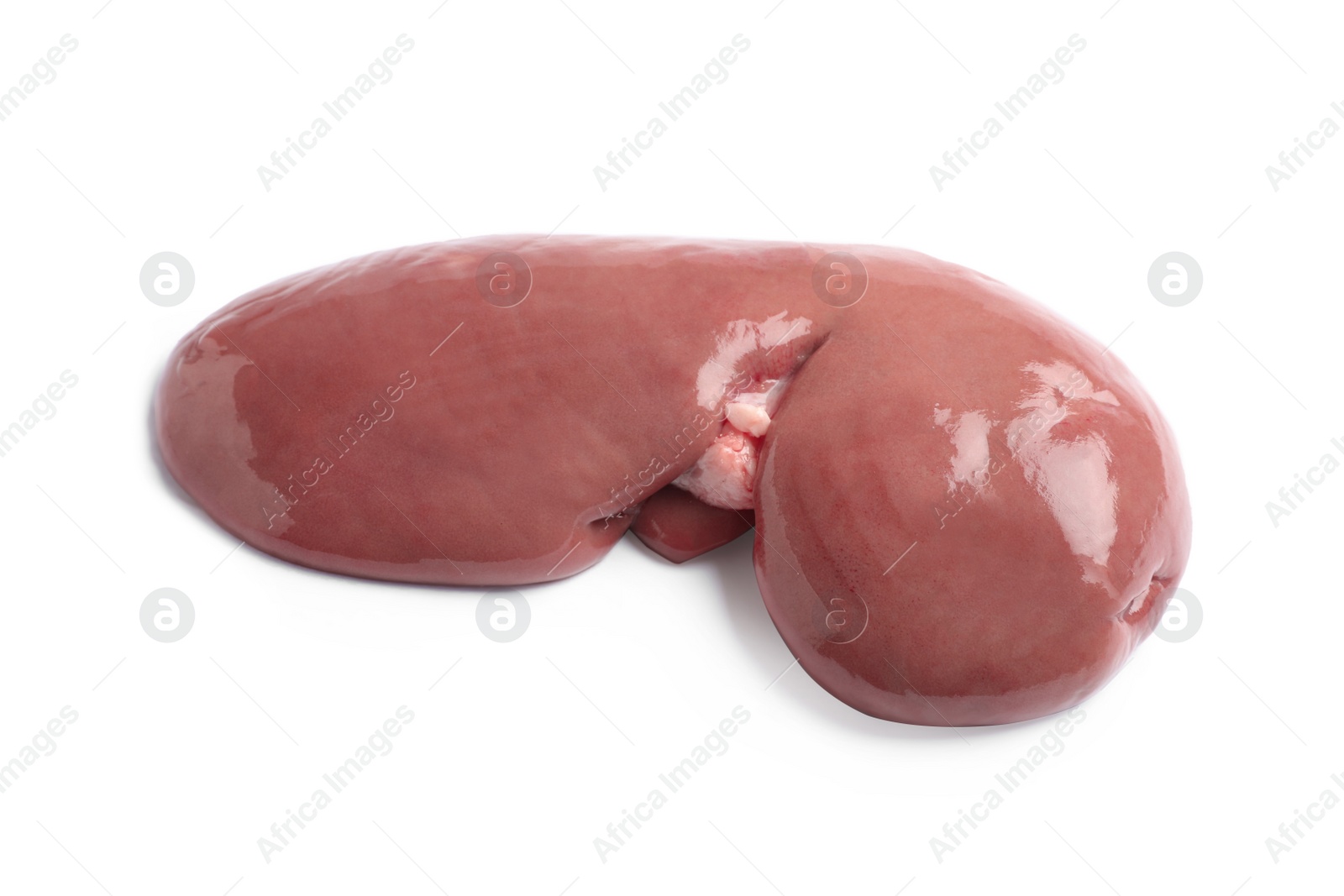 Photo of Fresh raw pork kidney on white background, top view
