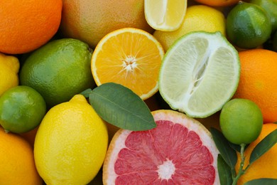 Photo of Different fresh citrus fruits and leaves as background, top view.