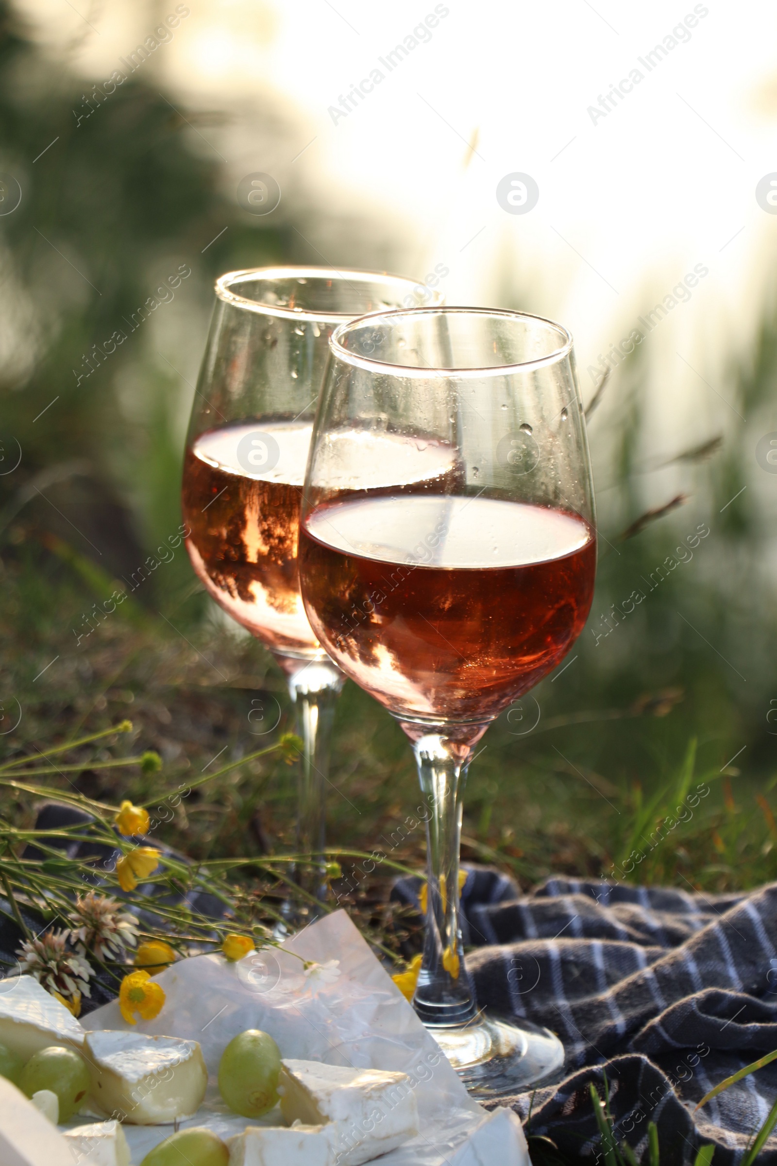 Photo of Delicious rose wine, cheese and grapes on picnic blanket near lake, closeup