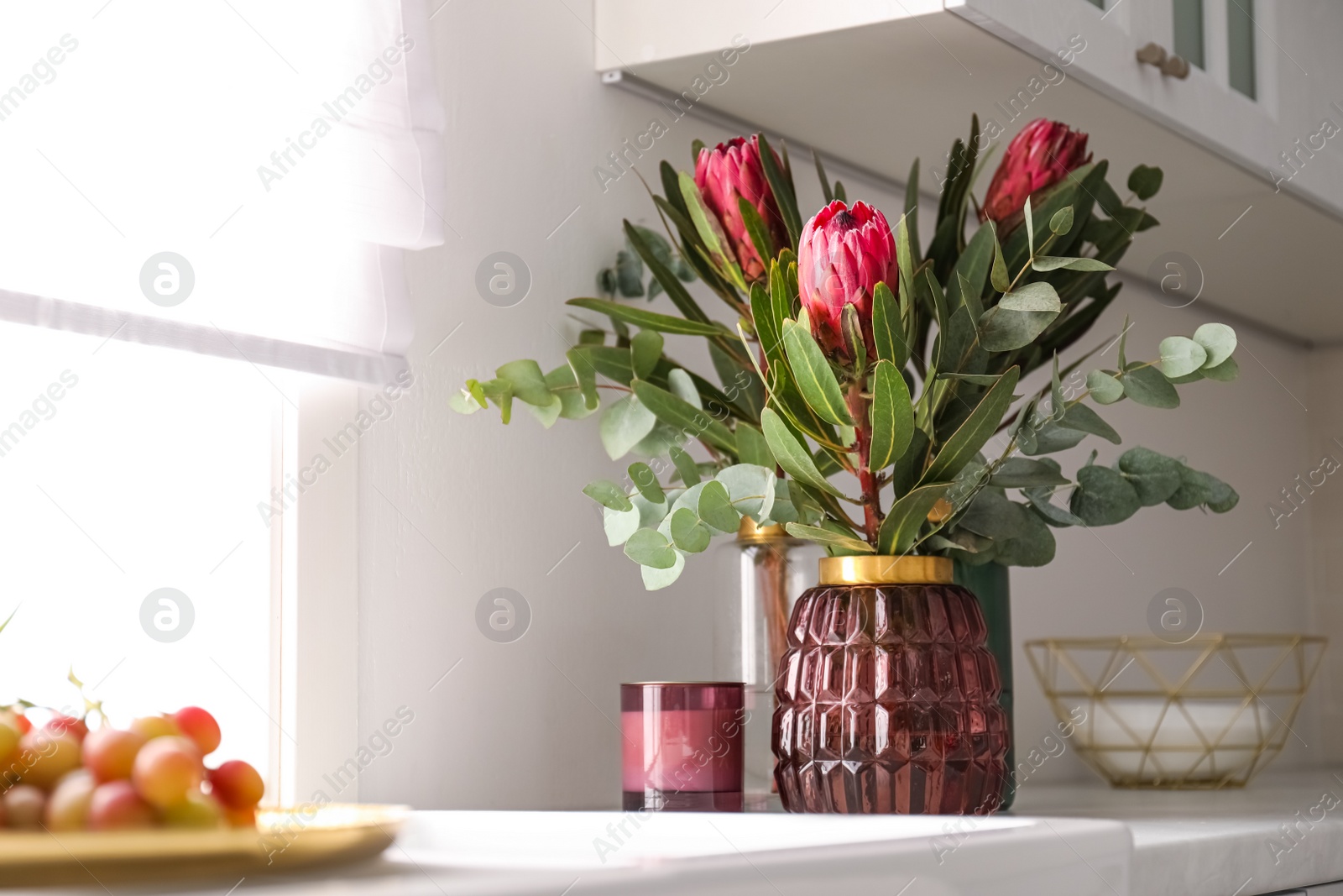 Photo of Beautiful protea flowers on countertop in kitchen, space for text. Interior design