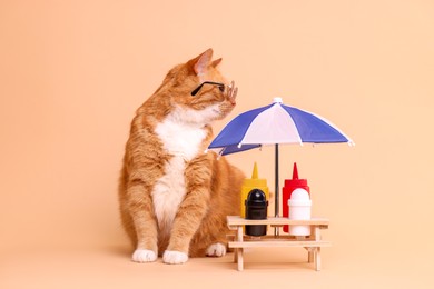 Photo of Cute ginger cat in stylish sunglasses and mini picnic table with umbrella on beige background