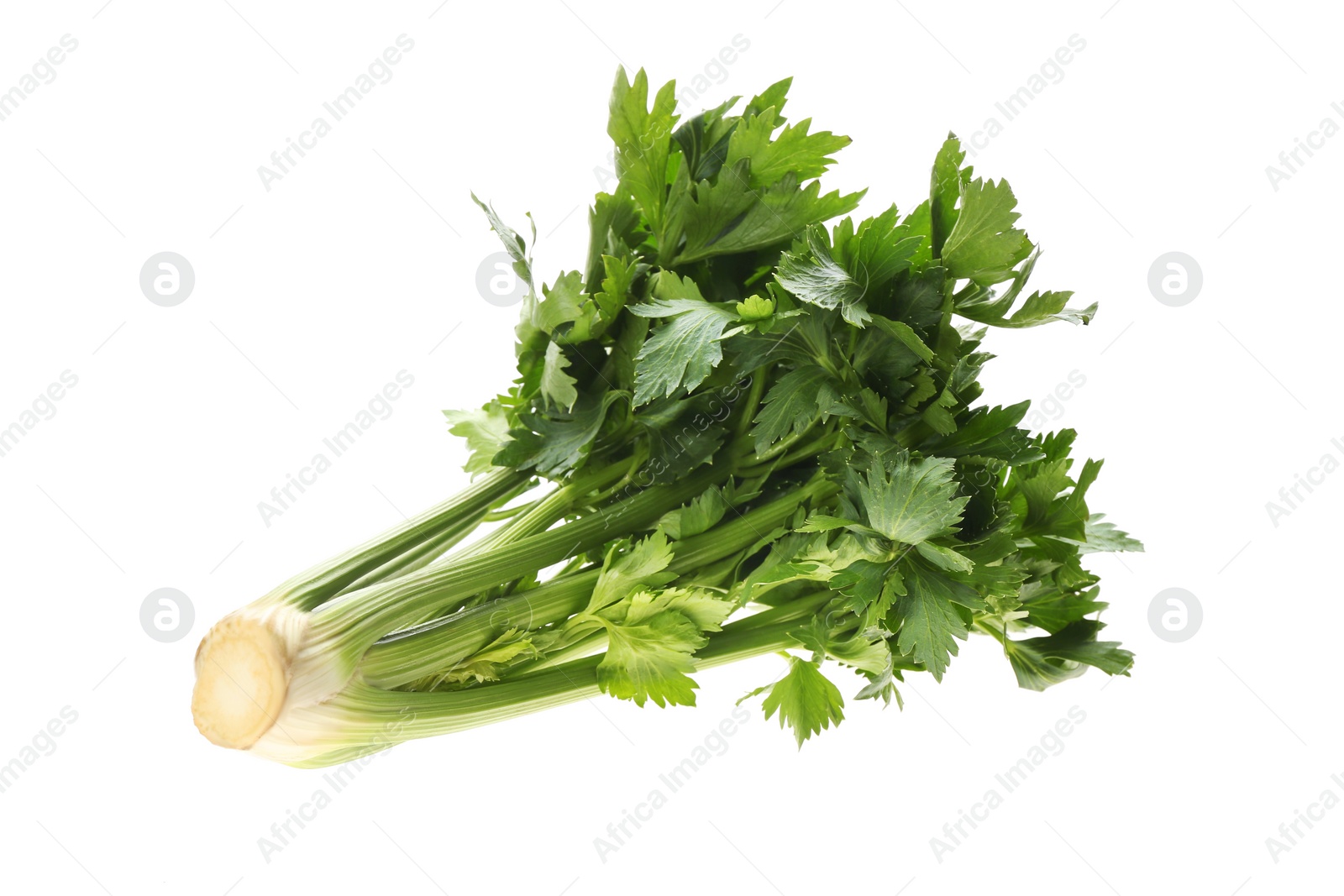 Photo of Fresh green celery bunch isolated on white